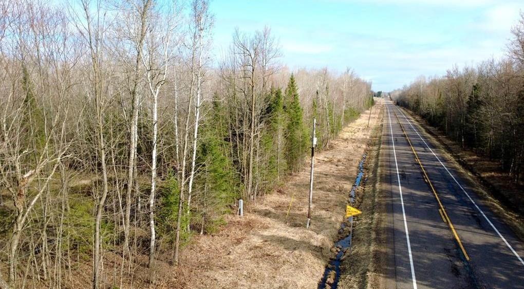 80 Acres for Sale in Sheldon, Wisconsin