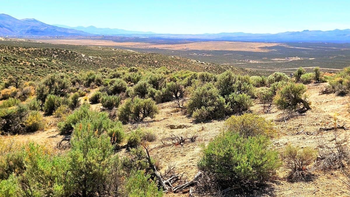 1.13 Acres for Sale in Osino, Nevada