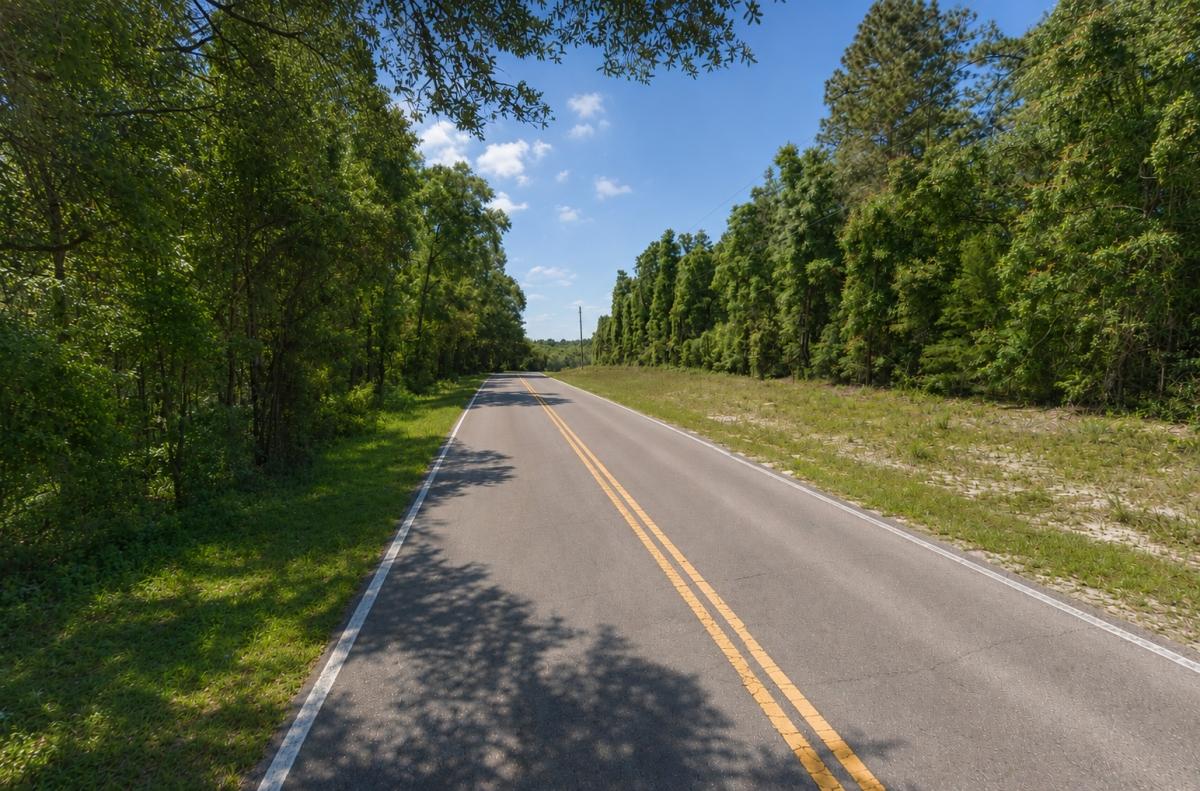 0.21 Acres for Sale in Interlachen, Florida
