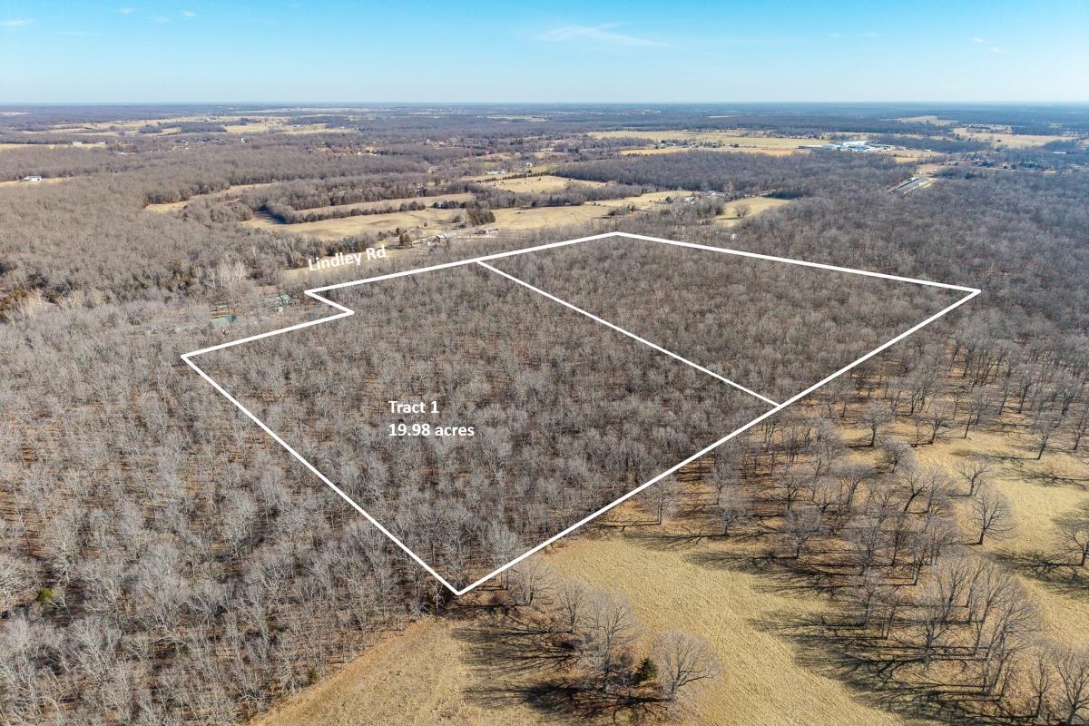 19.98 Acres for Sale in Buffalo, Missouri