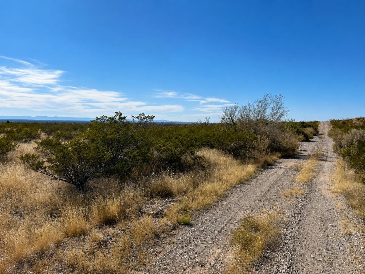0.83 Acres for Sale in El Paso, Texas