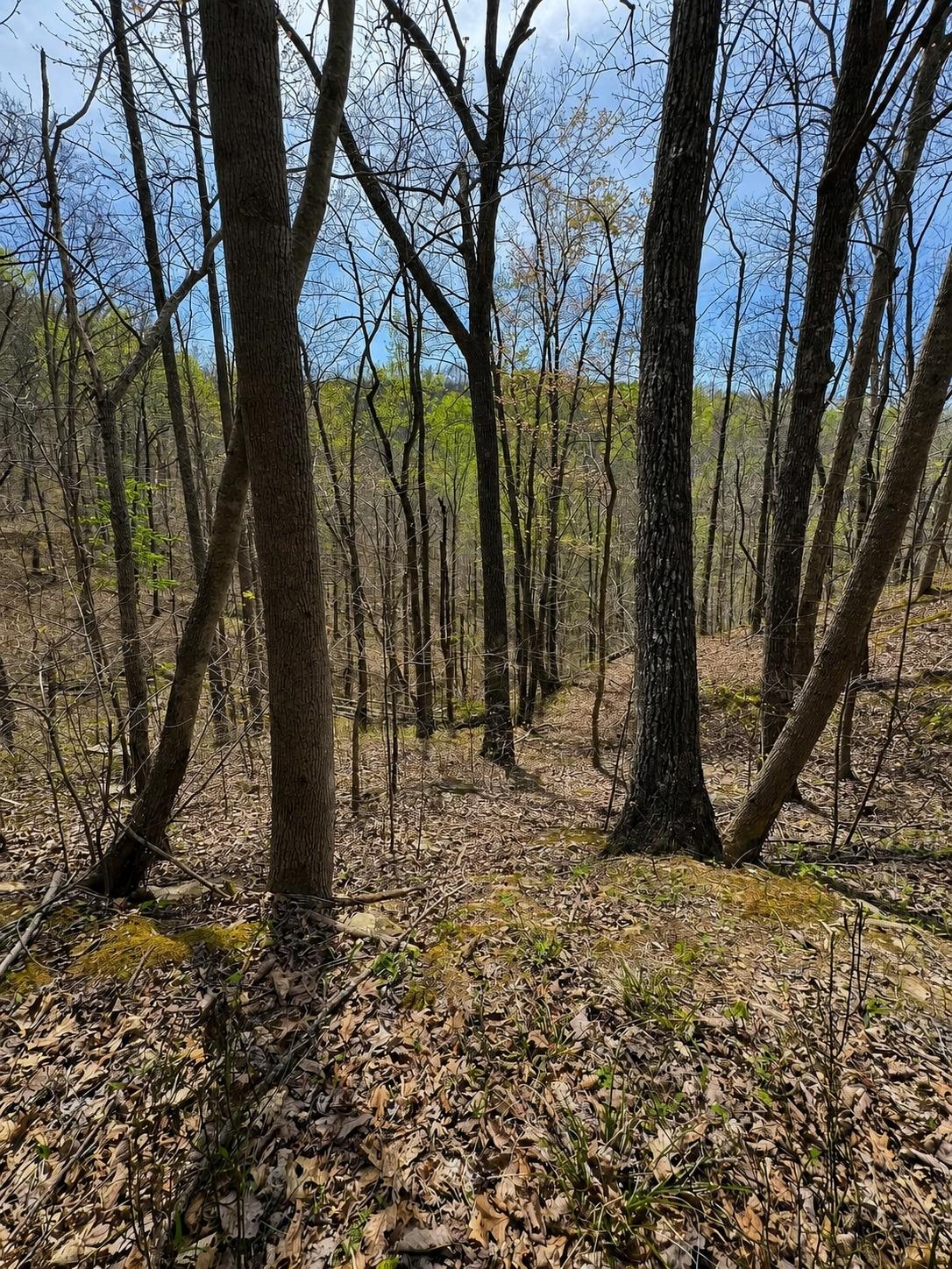 13 Acres for Sale in Hinkle, Kentucky