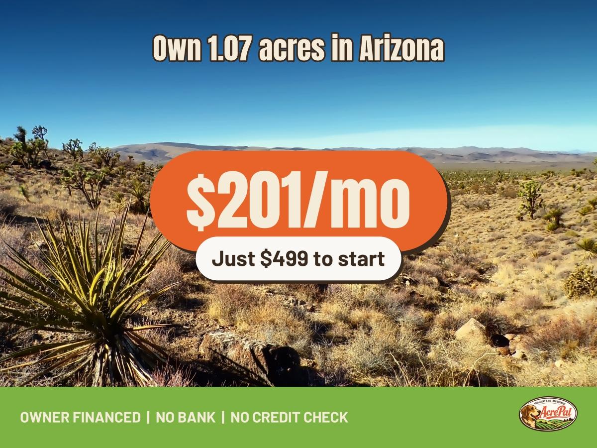 1.07 Acres for Sale in Dolan Springs, Arizona