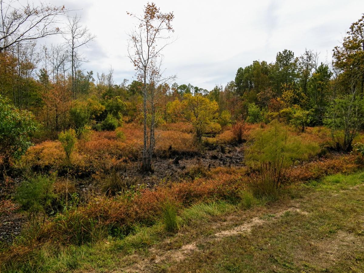 2.97 Acres for Sale in White Oak, North Carolina