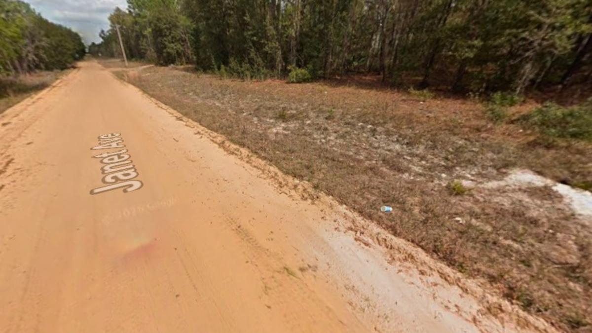 0.43 Acres for Sale in Interlachen, Florida