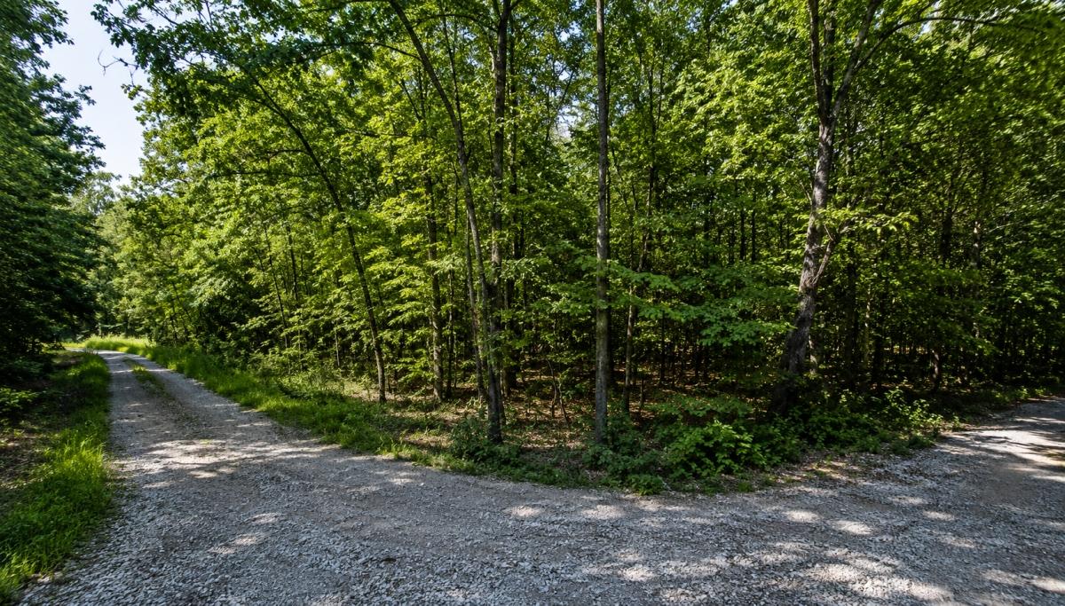 1 Acres for Sale in Cherokee Village, Arkansas