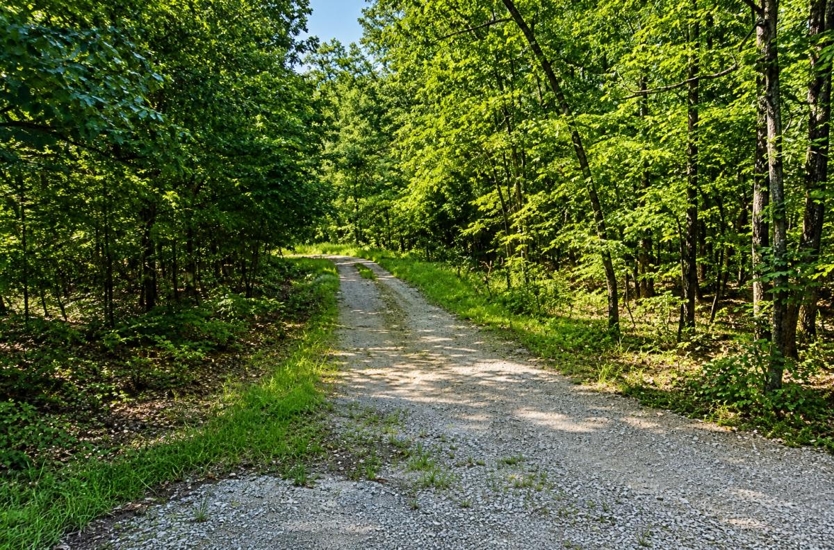 1 Acres for Sale in Cherokee Village, Arkansas