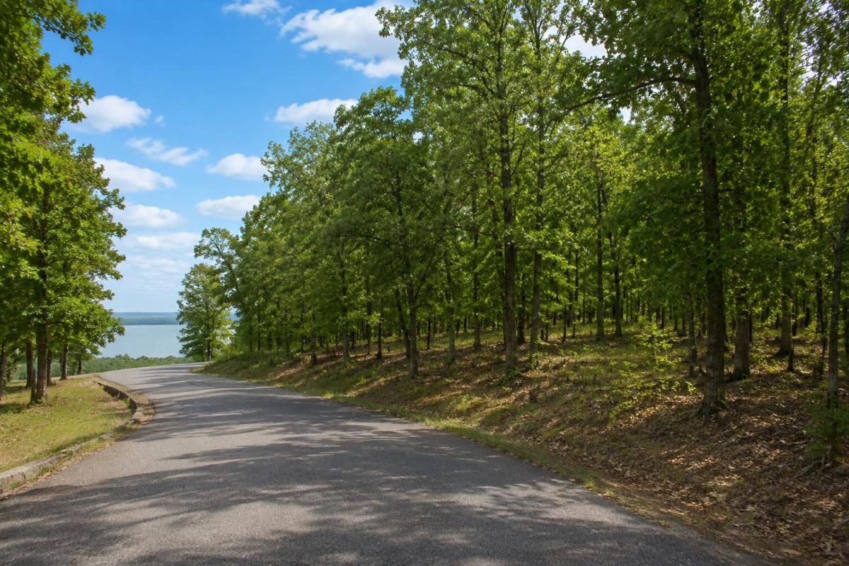 0.41 Acres for Sale in Fairfield Bay, Arkansas
