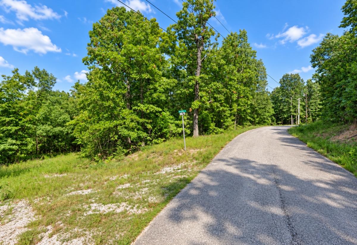 0.65 Acres for Sale in Cherokee Village (Golf Course & Lake Close), Arkansas