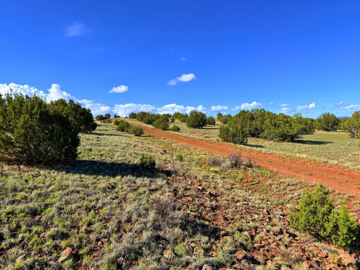 3.12 Acres for Sale in Concho, Arizona