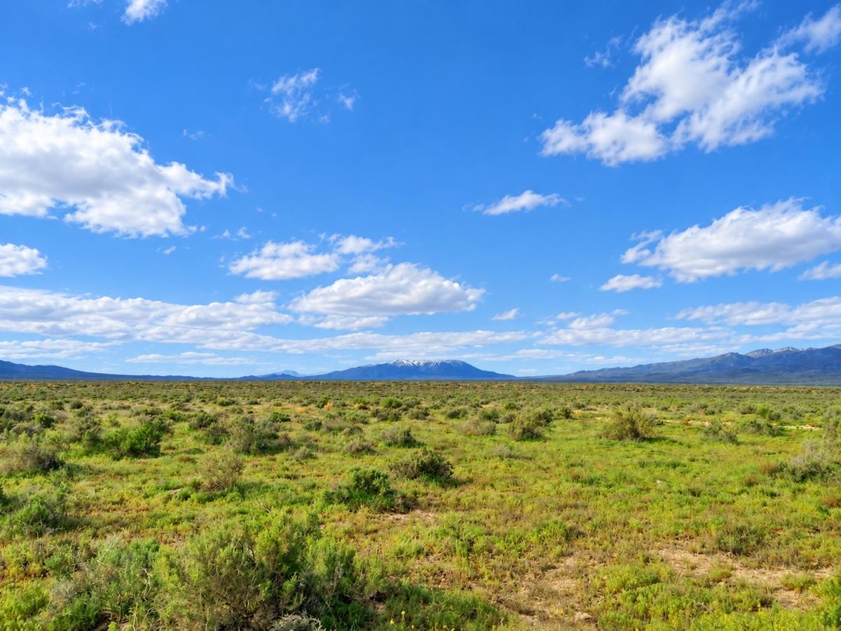 80 Acres for Sale in Valmy (Owner Finance $599.00 a month), Nevada