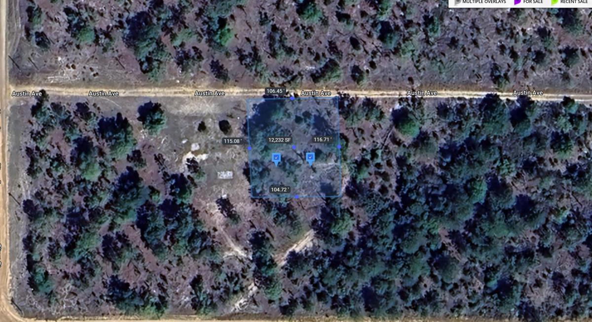 0.2 Acres for Sale in Interlachen, FL