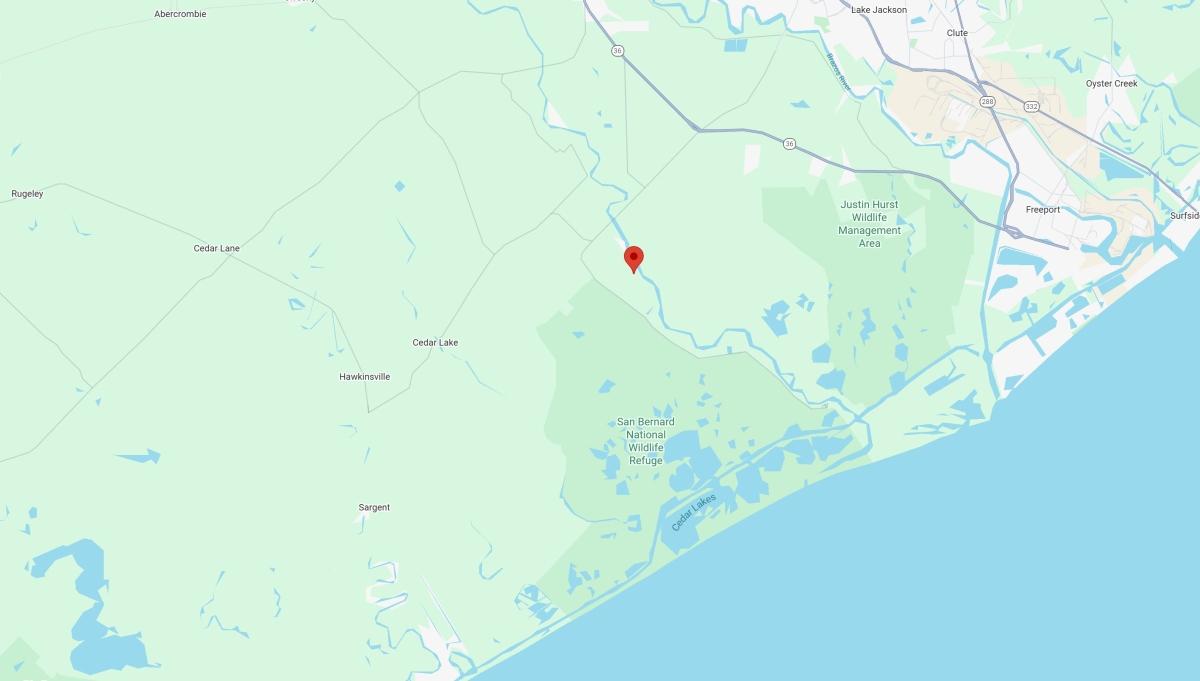 0.19 Acres for Sale in Brazoria, TX