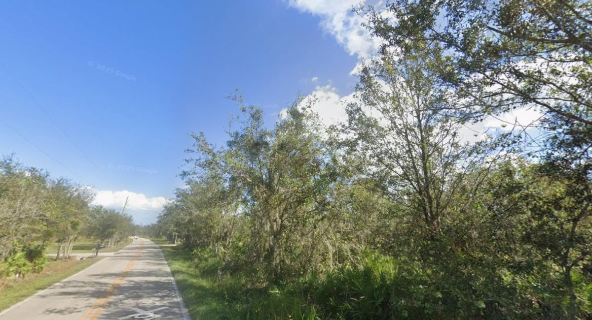 1.32 Acres for Sale in Alturas, FL