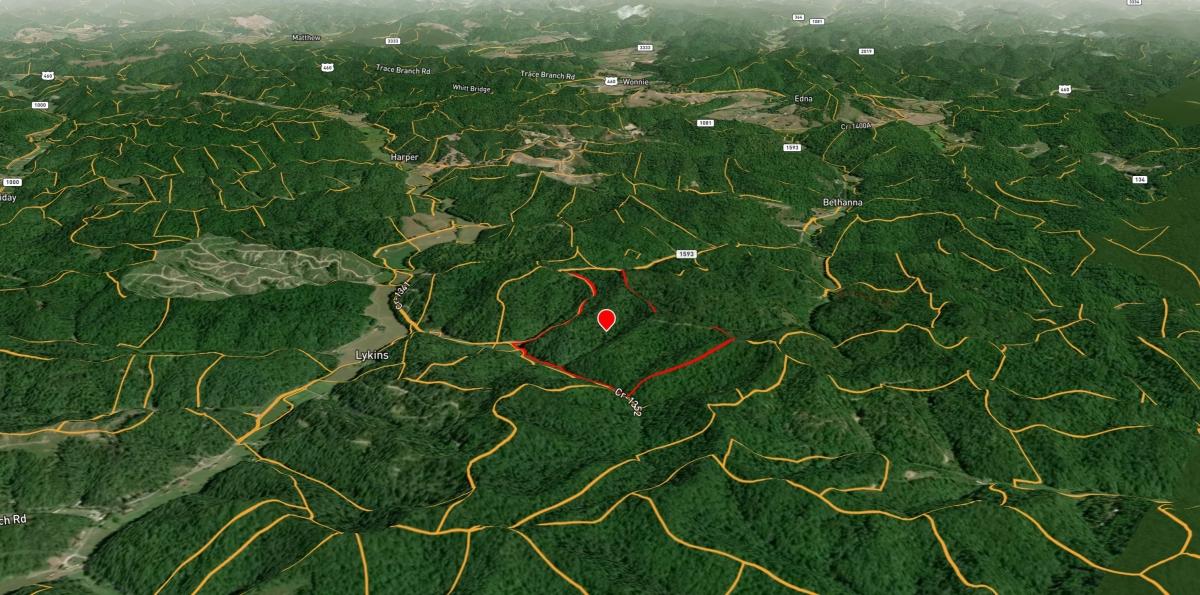 113 Acres for Sale in Salyersville, KY