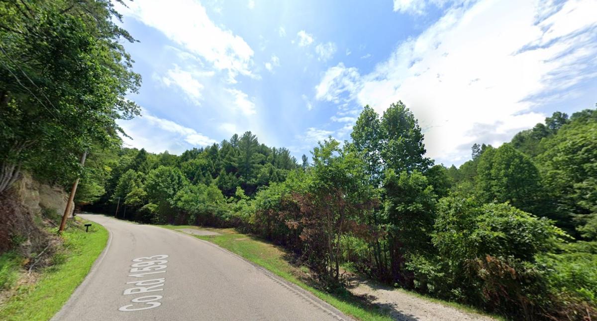 113 Acres for Sale in Salyersville, KY