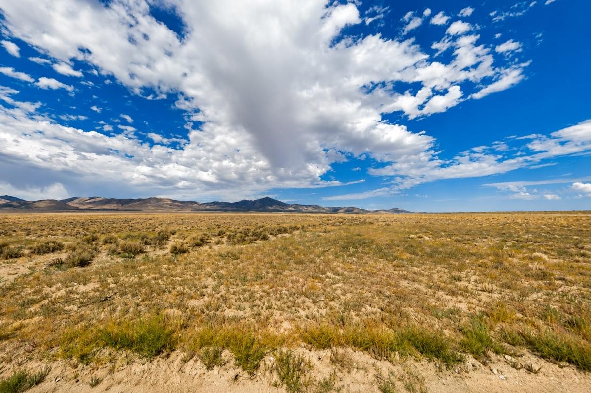 20 Acres for Sale in Grouse Creek, UT