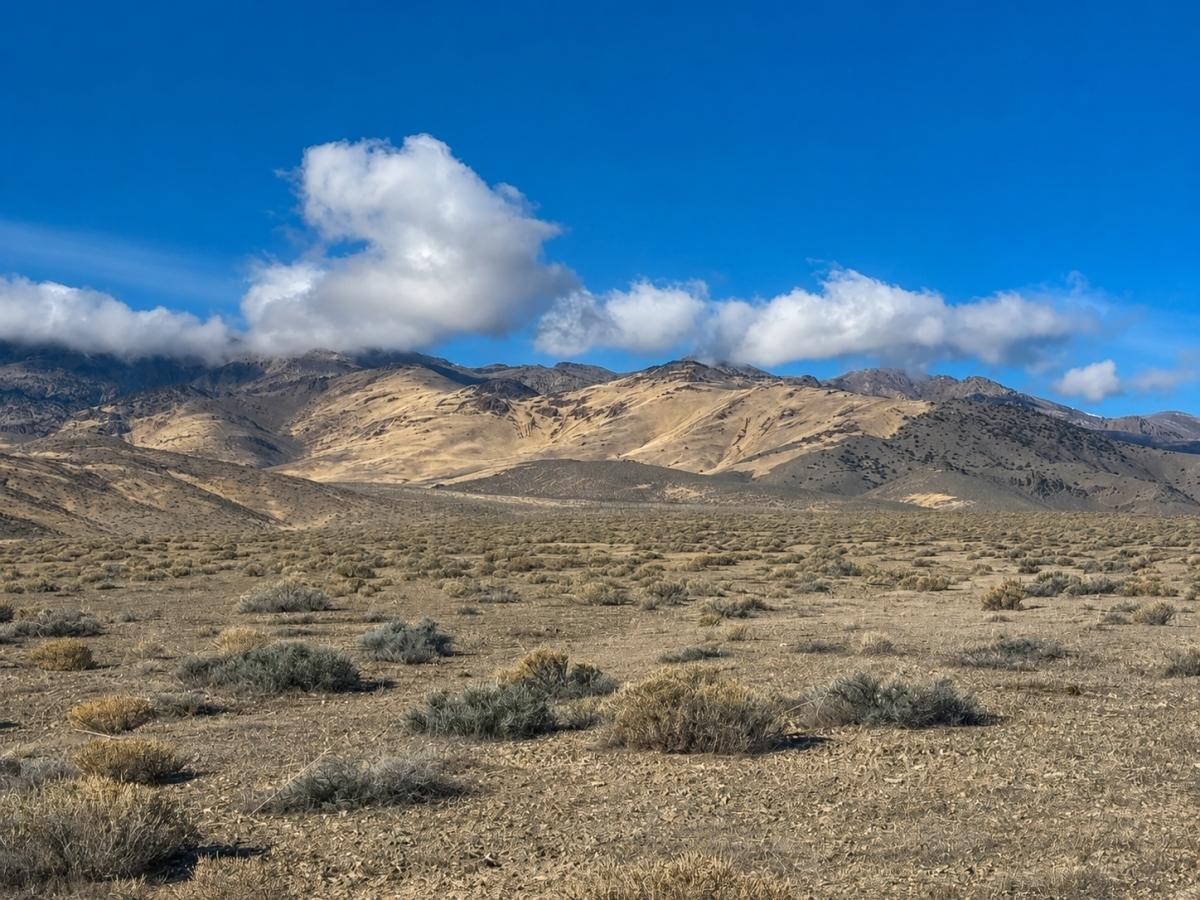320 Acres for Sale in Humboldt River Ranch, NV