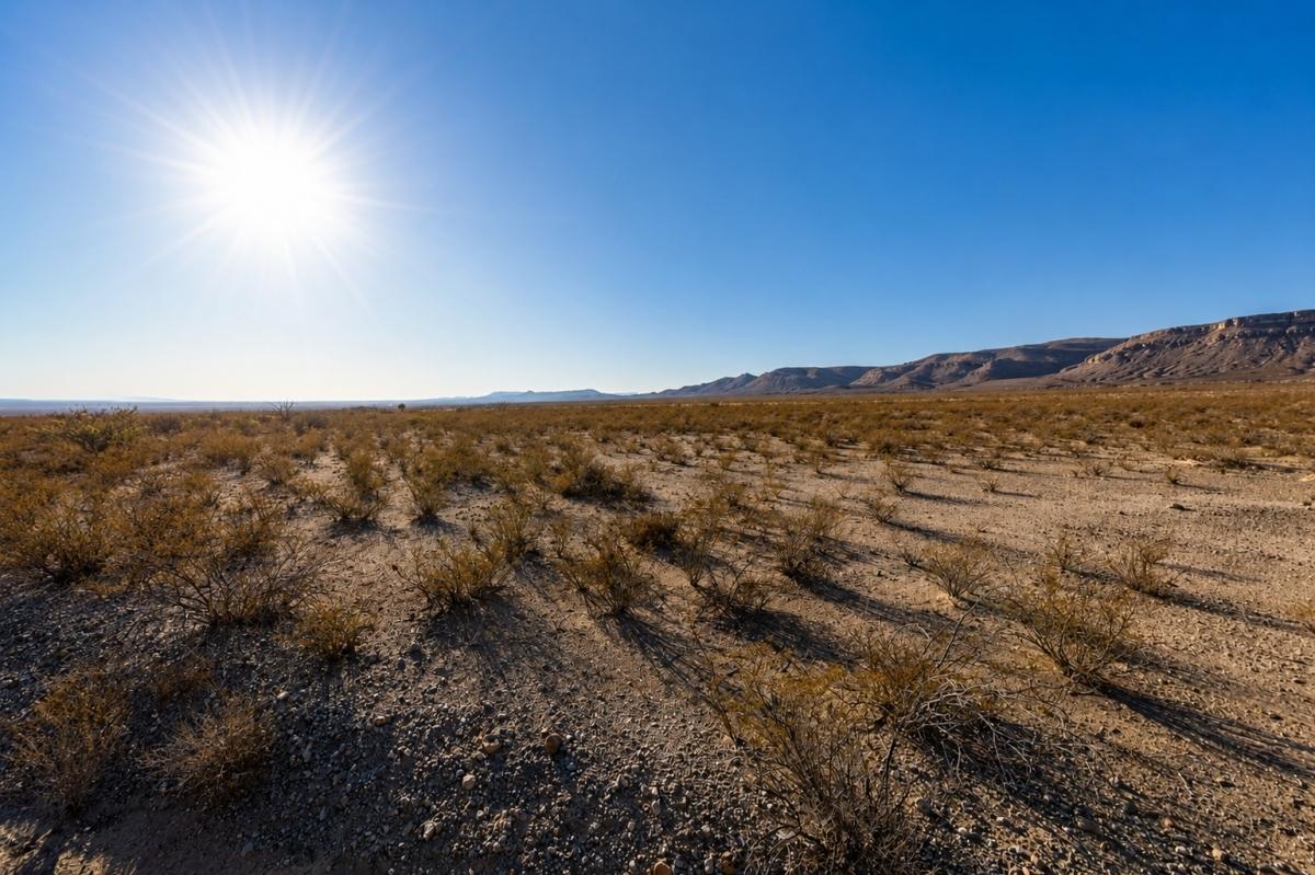 10 Acres for Sale in Scotts Crossing, TX